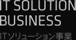 IT SOLUTION BUSINESS